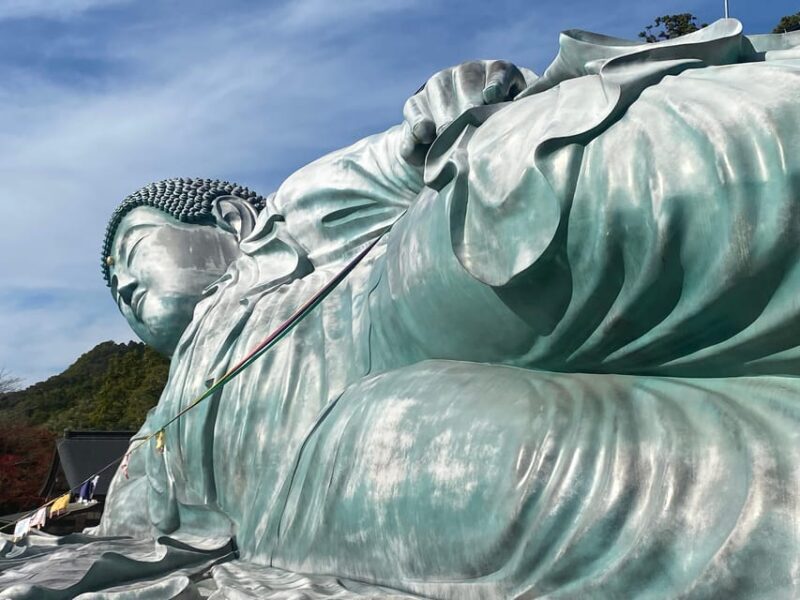 Fukuoka: Nanzoin Temple and Reclining Buddha Guided Tour - A True Value and Cultural Gem