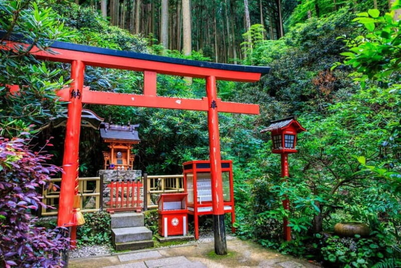 Fukuoka: Nanzoin Temple & Reclining Buddha Guided Tour - Key Points