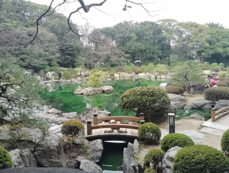 Fukuoka: Ohori Park Walking Tour with Guide - Fukuoka: Ohori Park Walking Tour with Guide — A Relaxed Dive into Local Charm