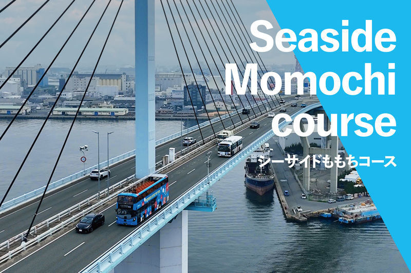 Fukuoka Open Top Bus - Fukuoka from 3.8 meters up