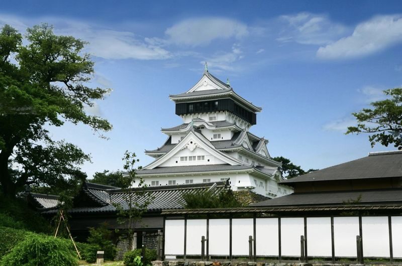 Fukuoka private car charter service: Mojiko, Karato Market, Kokura Castle, Miyajidake Shrine, Munakata Taisha, Kawachi Wisteria Garden, Sarakurayama night view, etc. - Two shrines, two different moods
