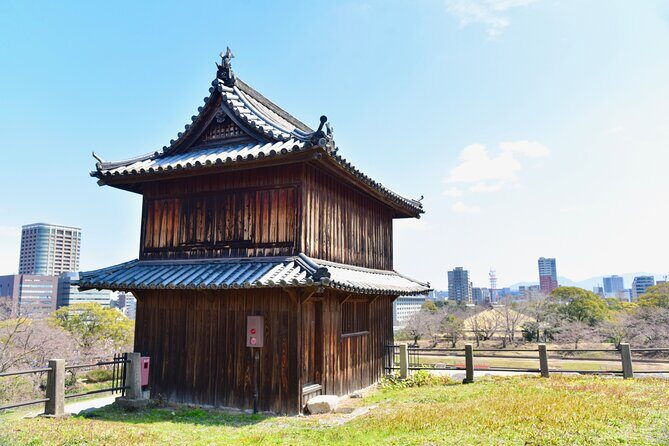 Fukuoka Private Customizable Full Day Tour - Who Will Love This Tour?