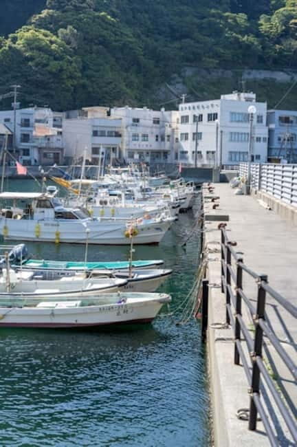 Fukuoka: Private Fishing Tour with Captain and Gear - Key Points