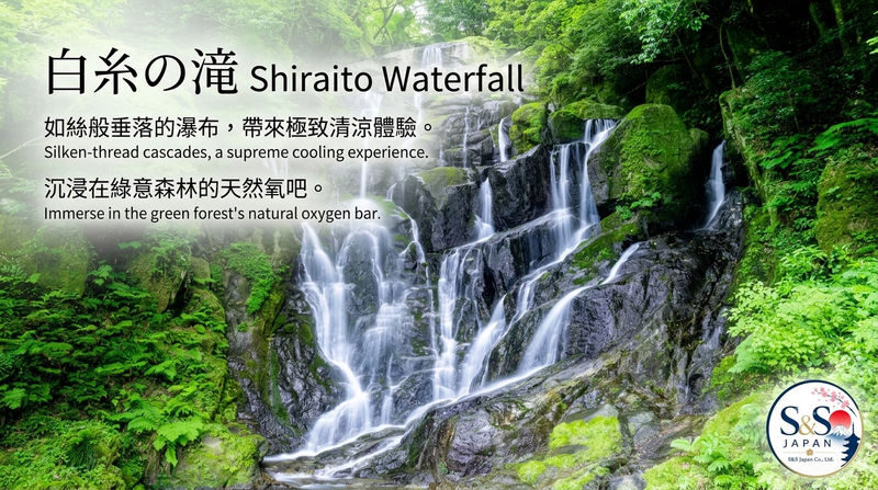 Fukuoka Shiraito Falls & Itoshima Coastal Day Tour - Meoto Iwa and the Itoshima shoreline