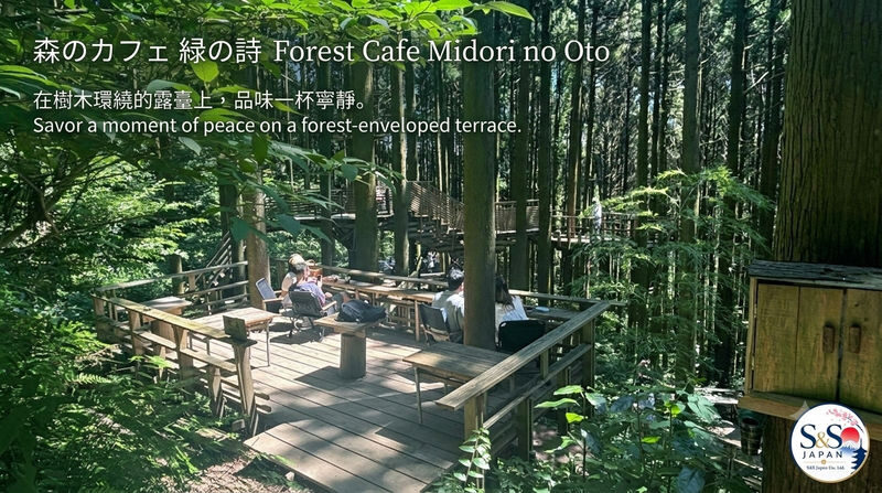 Fukuoka Shiraito Falls & Itoshima Coastal Day Tour - Seafood lunch is a practical part of the day