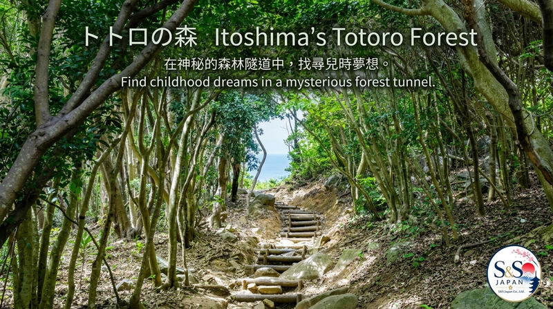 Fukuoka Shiraito Falls & Itoshima Coastal Day Tour - Who will enjoy this Itoshima day trip?