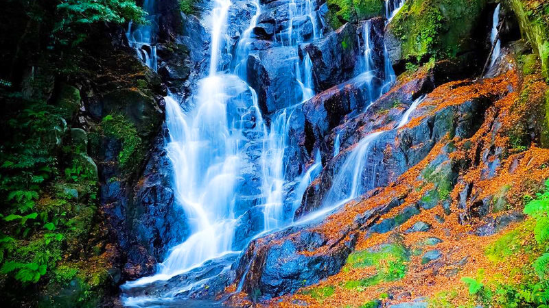 Fukuoka Shiraito Falls & Itoshima Scenic Spots Full-Day Tour - Shiraito Falls: the day’s natural centrepiece