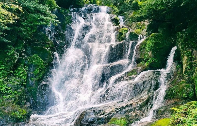 Fukuoka Shiraito Falls & Itoshima Scenic Spots Full-Day Tour - Itoshima’s beach brings the day to a close