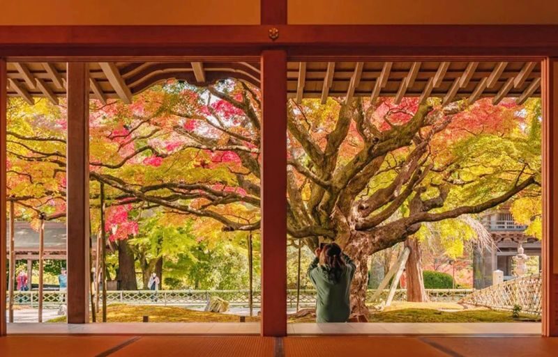 Fukuoka Shiraito Falls & Itoshima Scenic Spots Full-Day Tour - Is $44.19 good value?