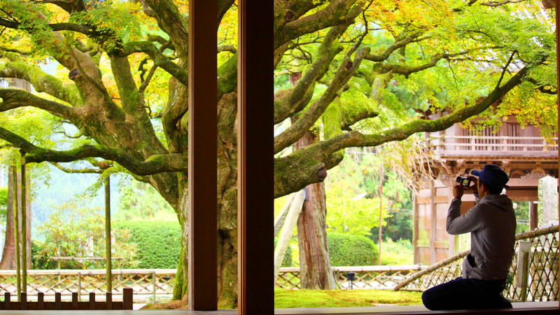 Fukuoka Shiraito Falls & Itoshima Scenic Spots Full-Day Tour - Who should choose this tour?