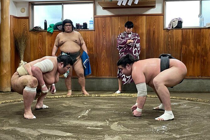Fukuoka Sumo Morning Practice Watching Tour - Fukuoka Sumo Morning Practice Watching Tour