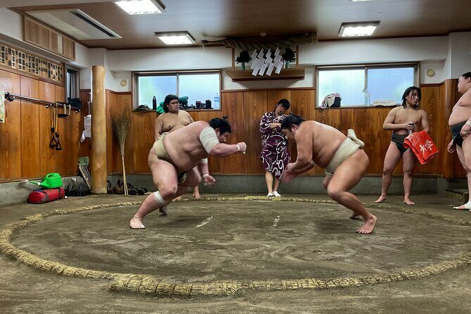 Fukuoka Sumo Morning Practice Watching Tour - Key Points