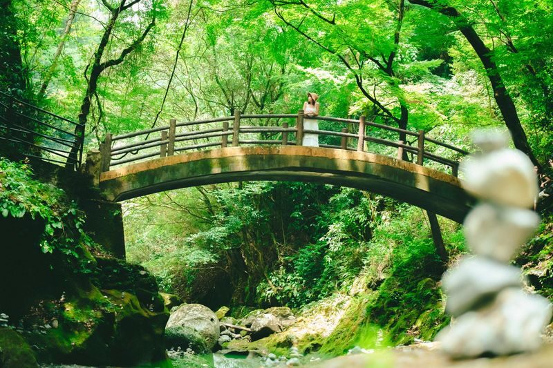 Fukuoka Takachiho Full-Day Private Tour - Lunch is a planned pause, not a provided meal