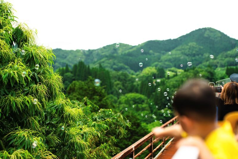 Fukuoka Takachiho Full-Day Private Tour - Takachiho Gorge: the reason to make the trip