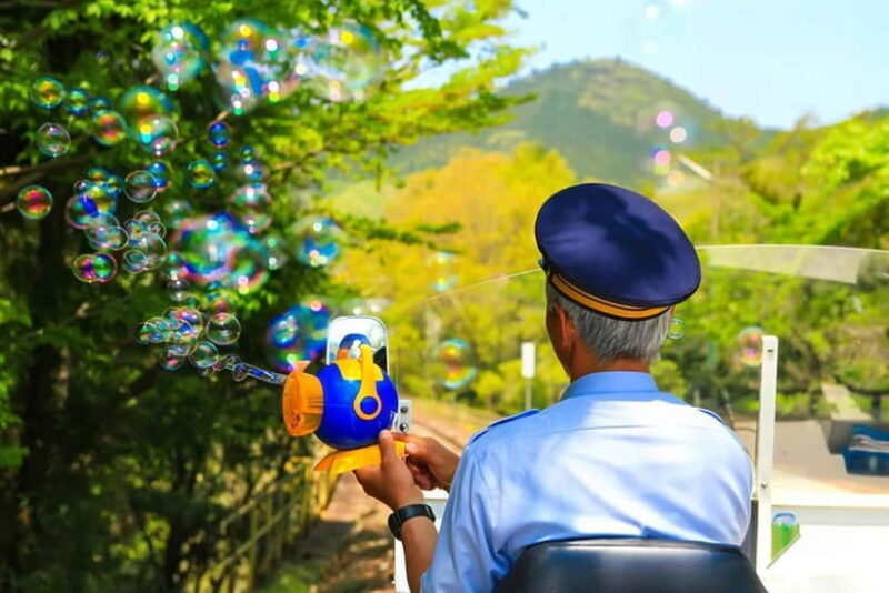 Fukuoka: Takachiho Gorge, Amano Iwato & Scenic Train Tour - Fukuoka: Takachiho Gorge, Amano Iwato & Scenic Train Tour — A Practical Look