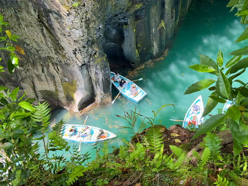 Fukuoka Takachiho Gorge & Amanoiwato Shrine Full-Day Guided Tour - Should you book it?