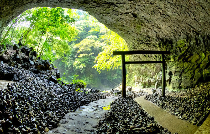 Fukuoka Takachiho Gorge & Kamishikimi Kumanoza Shrine Day Trip - A full day for places beyond Fukuoka