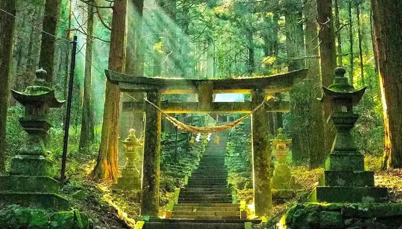 Fukuoka Takachiho Gorge & Kamishikimi Kumanoza Shrine Day Trip - Kamishikimi Kumanoza Shrine: a quieter change of scene