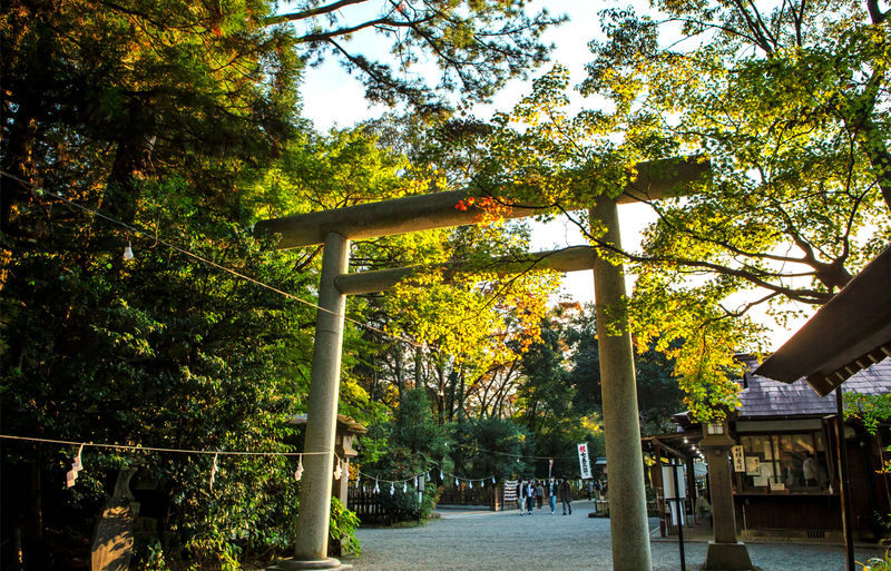 Fukuoka Takachiho Gorge & Kamishikimi Kumanoza Shrine Day Trip - The value at $63.09