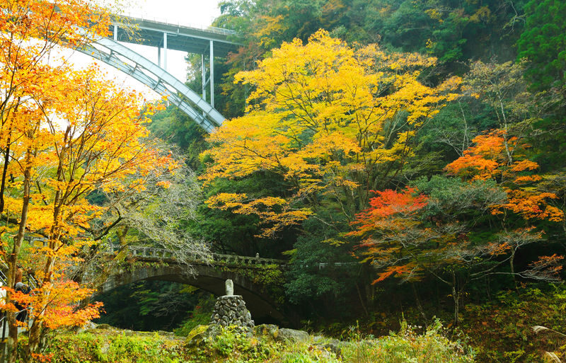Fukuoka Takachiho Gorge & Kusasenri One-Day Bus Tour - Kusasenri’s open volcanic views
