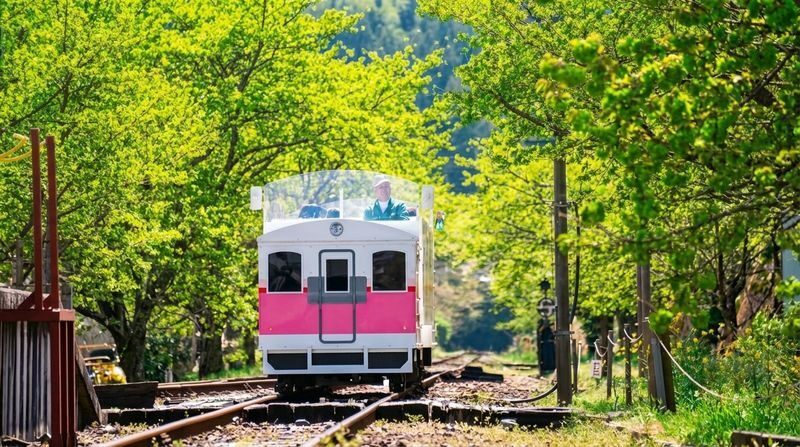Fukuoka Takachiho Gorge & Train Full-Day Tour - At a glance