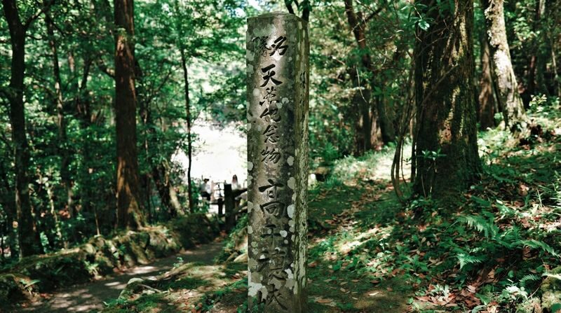 Fukuoka Takachiho Gorge & Train Full-Day Tour - Guides who keep the day moving