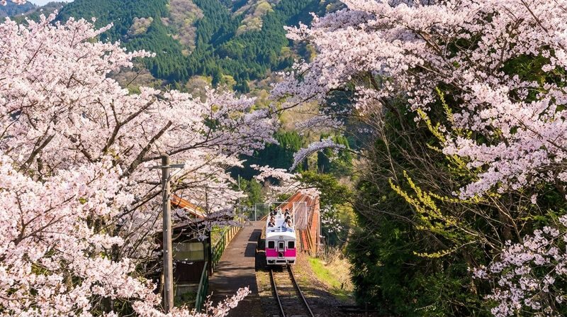 Fukuoka Takachiho Gorge & Train Full-Day Tour - Who should choose this tour