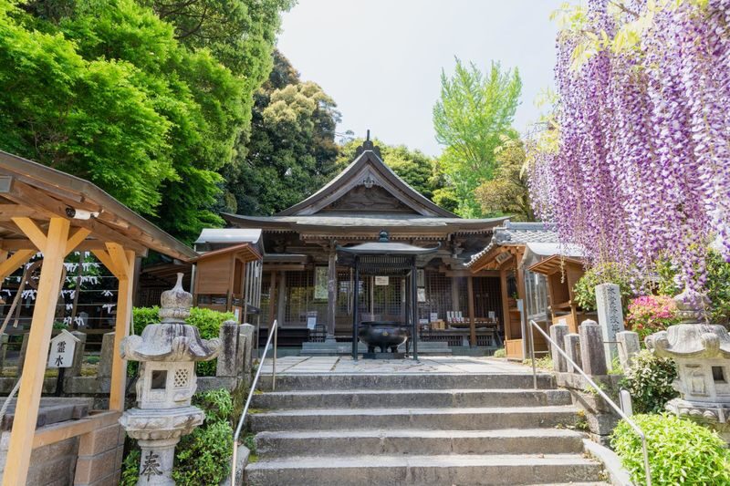 Fukuoka Tempaizan & Outlets Full-Day Experience with Hot Spring - Kimura and the value of a flexible guide