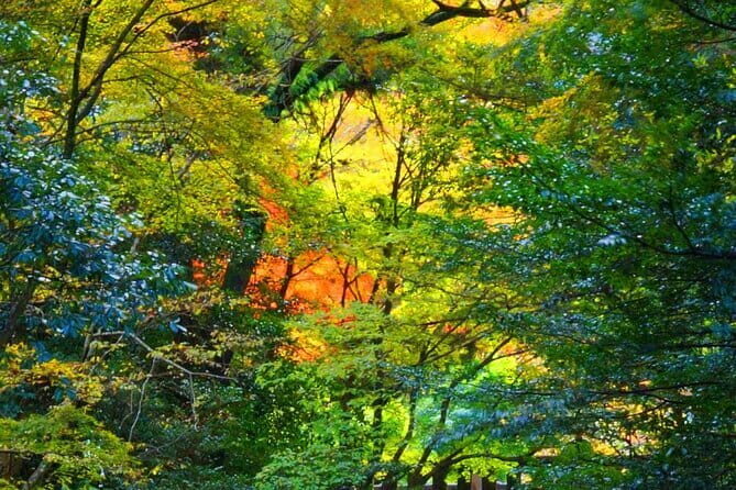 Fukuoka to Takachiho Shrine Tour with Optional Beef Lunch - Final Thoughts