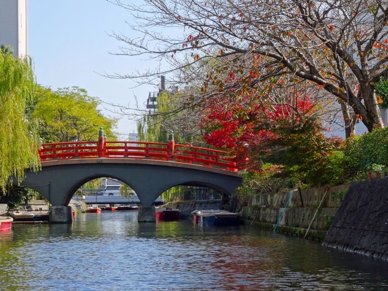 Fukuoka Ukiha Inari, Yanagawa & Itoshima Full-Day Tour with Cruise Ticket - Guides, group size and the pace of the day