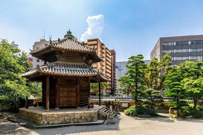 Fukuoka: Unforgettable Customizable Walking Tour Guide - Why This Tour Brings Value to Your Fukuoka Visit