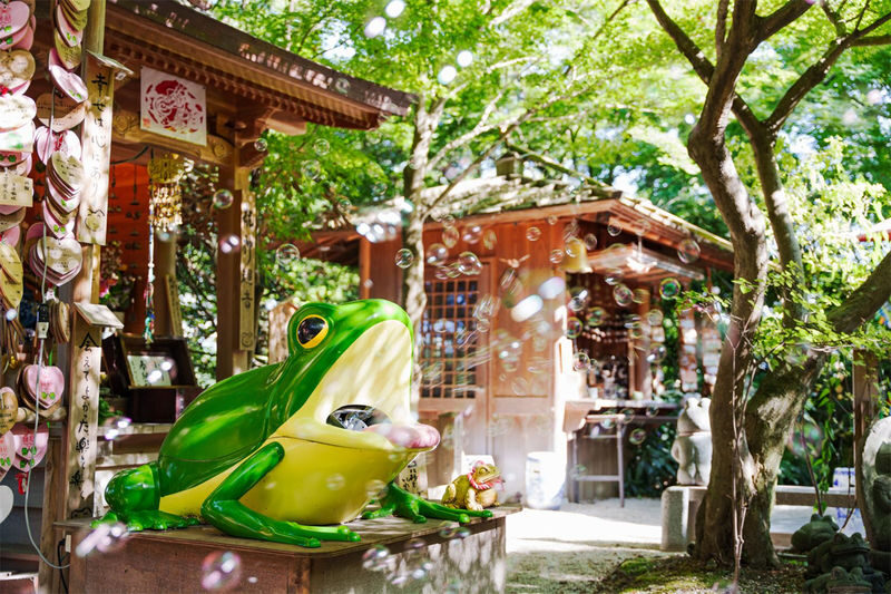 Fukuoka Yufuin & Attack on Titan Museum Full-Day Tour - Nyoirin-ji Temple and the final stretch