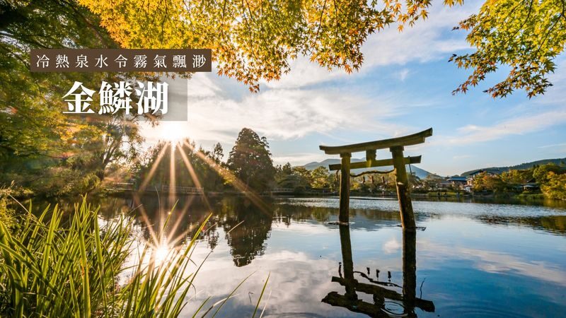 Fukuoka Yufuin & Dazaifu Tenmangu Full-Day Tour - Pace, transport and the value of $44.25