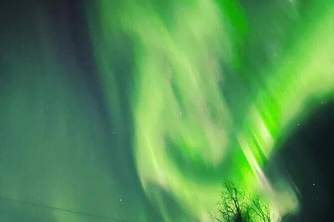 Full Alaskan Experience - Frequently Asked Questions