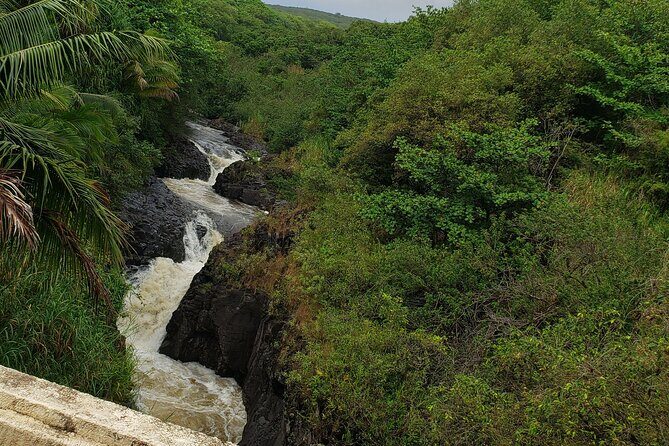 Full-Circle "Reverse" - Luxury Road to Hana Tour from South Maui - Value for Money