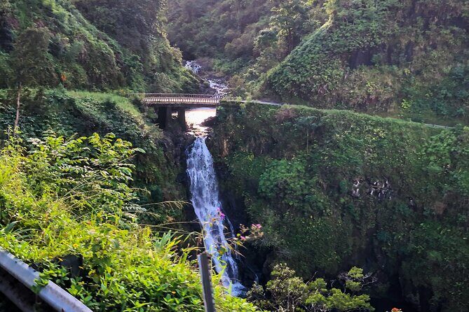 Full-Circle "Reverse" - Luxury Road to Hana Tour from West Maui - Real Traveler Insights and Experiences