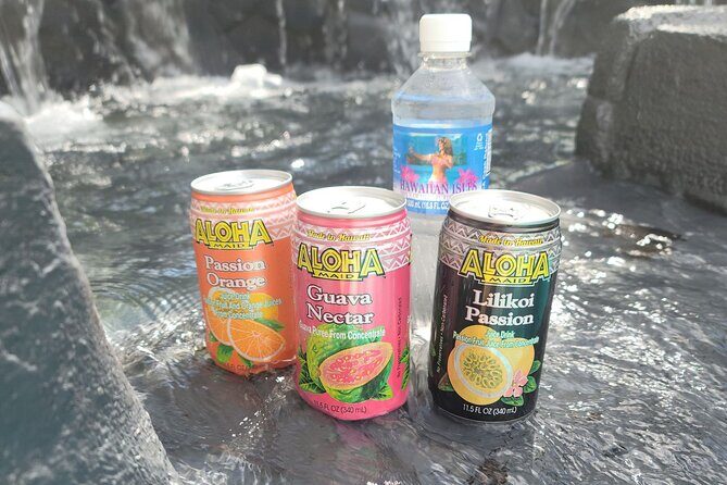 Full-Circle "Reverse" - Luxury Road to Hana Tour from West Maui - Much Aloha, and Until Next Time