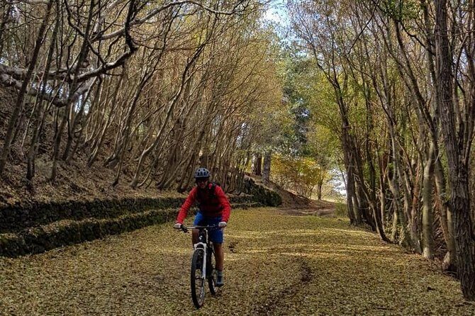 Full circuit of Etna by MTB small group - Introduction to the Tour Experience