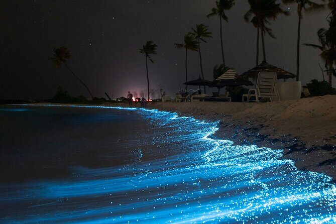 Full Clear Kayak Bioluminescent Experience Vieques, Puerto Rico - Who Should Consider This Tour?