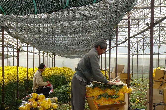 Full Countryside Da Lat city to Pongour Waterfall Tour - Authentic Experiences and Genuine Value