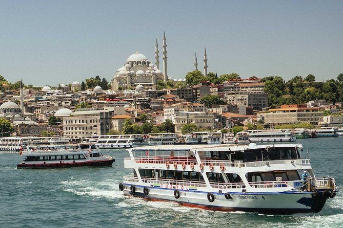 Full Coverage Istanbul Private City Tour - Who Should Book This Tour?
