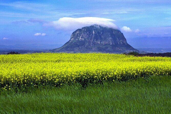 Full Day 12 hours whole Jeju Island private flexible tour - A Deep Dive into the Jeju Private Flexible Tour