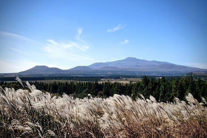 Full Day 12 hours whole Jeju Island private flexible tour - Practical Details and Tips