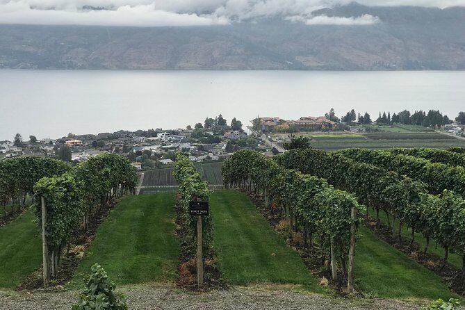 Full Day 4 Wineries Mission Hill & Quails Gate With Lunch Stop* - Visiting the Wineries: What Makes Each Stop Special