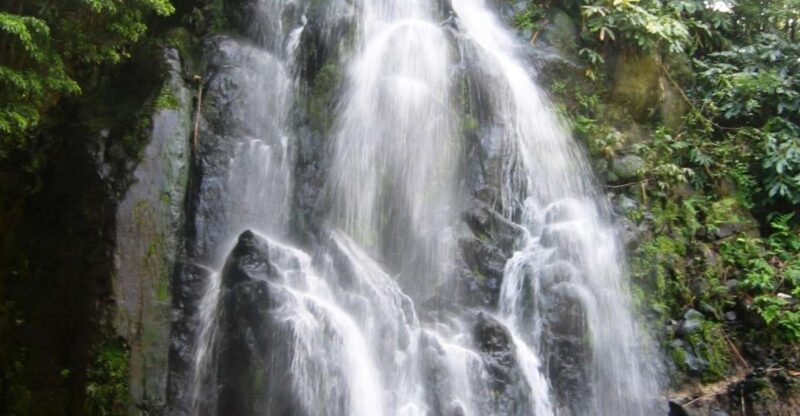 Full-Day 4x4 Nordeste Azores Tour from Ponta Delgada - Final Thoughts