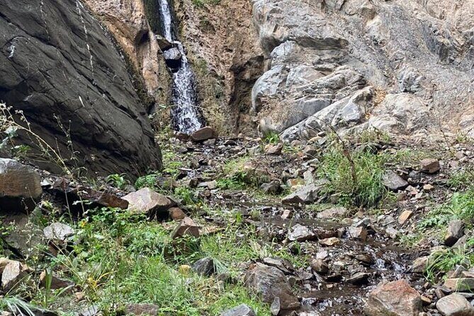 Full Day 4x4 Safari Tour in Villavicencio, Mendoza - Final Thoughts