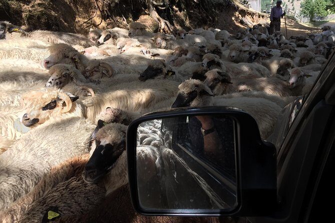 Full Day 4x4 Tour in the Eastern Carpathians - Key Points