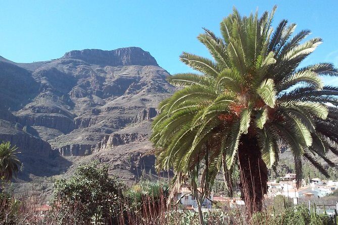 Full Day Across the Island Tour from Las Palmas - Value and Practical Considerations