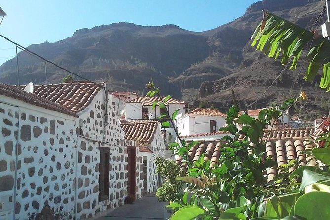 Full Day Across the Island Tour from Las Palmas - Authentic Experiences and Highlights