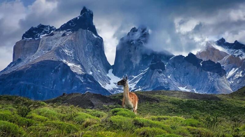 Full day active Torres del Paine - Why This Tour Delivers Real Value